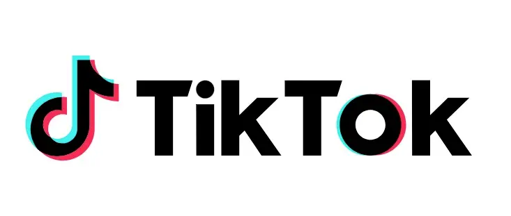 TikTok user numbers